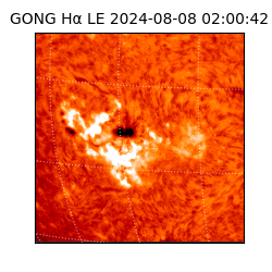 gong - 2024-08-08T02:00:42