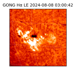 gong - 2024-08-08T03:00:42