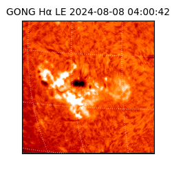 gong - 2024-08-08T04:00:42