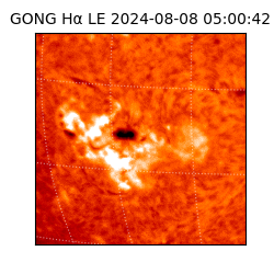 gong - 2024-08-08T05:00:42