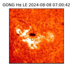 gong - 2024-08-08T07:00:42