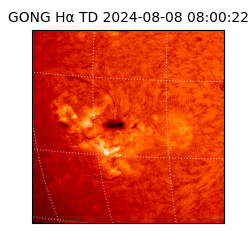 gong - 2024-08-08T08:00:22