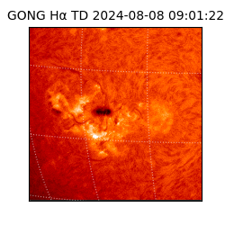 gong - 2024-08-08T09:01:22