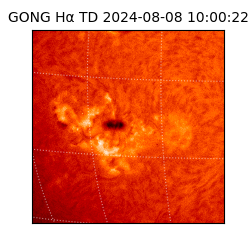 gong - 2024-08-08T10:00:22