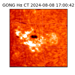 gong - 2024-08-08T17:00:42