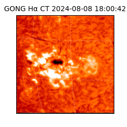 gong - 2024-08-08T18:00:42