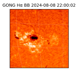 gong - 2024-08-08T22:00:02