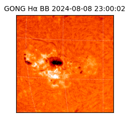 gong - 2024-08-08T23:00:02