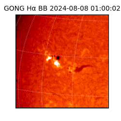 gong - 2024-08-08T01:00:02
