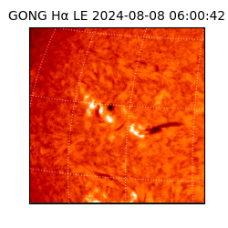 gong - 2024-08-08T06:00:42