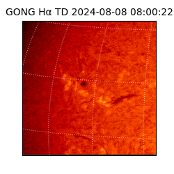 gong - 2024-08-08T08:00:22