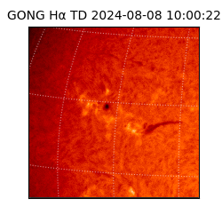 gong - 2024-08-08T10:00:22