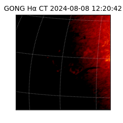 gong - 2024-08-08T12:20:42
