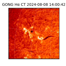 gong - 2024-08-08T14:00:42