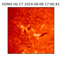 gong - 2024-08-08T17:00:42
