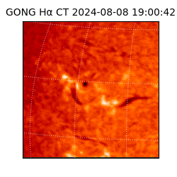 gong - 2024-08-08T19:00:42
