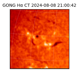 gong - 2024-08-08T21:00:42