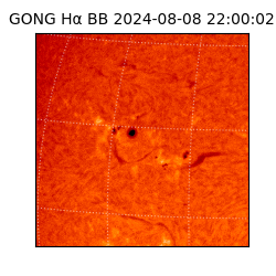 gong - 2024-08-08T22:00:02