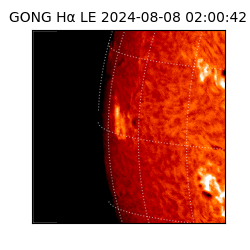 gong - 2024-08-08T02:00:42