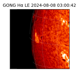 gong - 2024-08-08T03:00:42