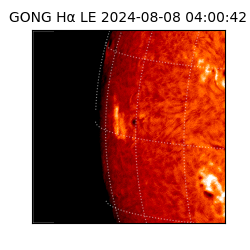 gong - 2024-08-08T04:00:42