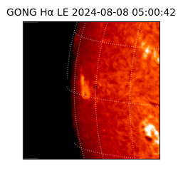 gong - 2024-08-08T05:00:42