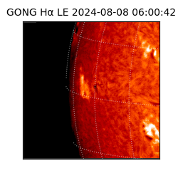 gong - 2024-08-08T06:00:42