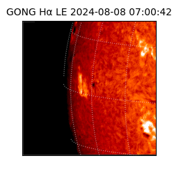gong - 2024-08-08T07:00:42