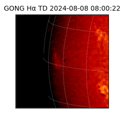 gong - 2024-08-08T08:00:22