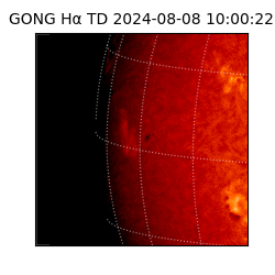 gong - 2024-08-08T10:00:22