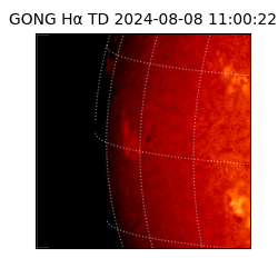 gong - 2024-08-08T11:00:22
