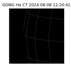 gong - 2024-08-08T12:20:42