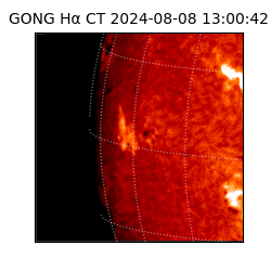gong - 2024-08-08T13:00:42