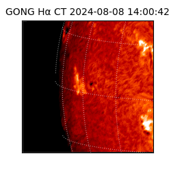 gong - 2024-08-08T14:00:42