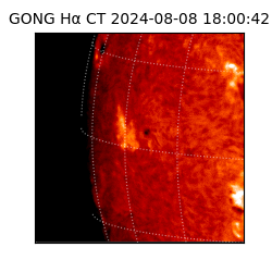 gong - 2024-08-08T18:00:42