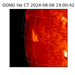 gong - 2024-08-08T19:00:42