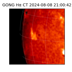 gong - 2024-08-08T21:00:42