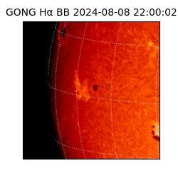 gong - 2024-08-08T22:00:02