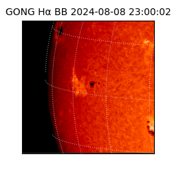 gong - 2024-08-08T23:00:02