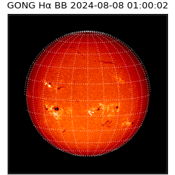gong - 2024-08-08T01:00:02