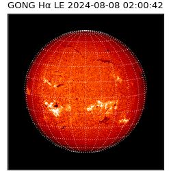 gong - 2024-08-08T02:00:42