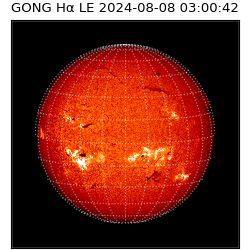 gong - 2024-08-08T03:00:42