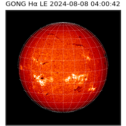 gong - 2024-08-08T04:00:42