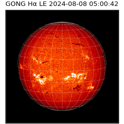 gong - 2024-08-08T05:00:42