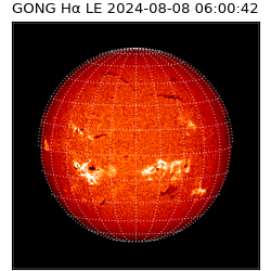 gong - 2024-08-08T06:00:42