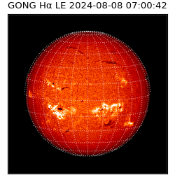 gong - 2024-08-08T07:00:42