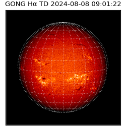 gong - 2024-08-08T09:01:22