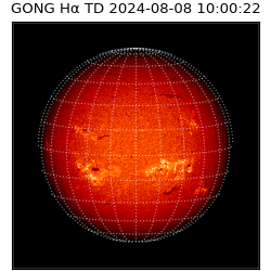 gong - 2024-08-08T10:00:22