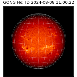 gong - 2024-08-08T11:00:22
