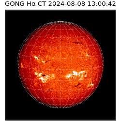 gong - 2024-08-08T13:00:42